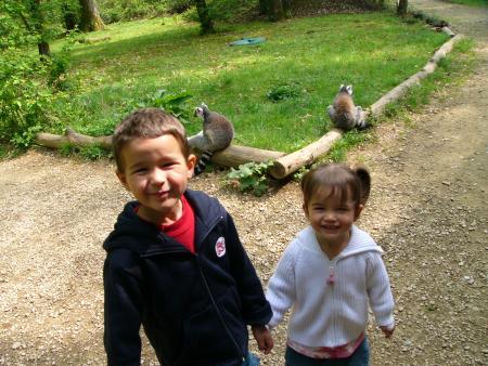 A la vallée des singes